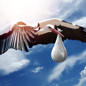 Factori care influentează aparența copilului tău